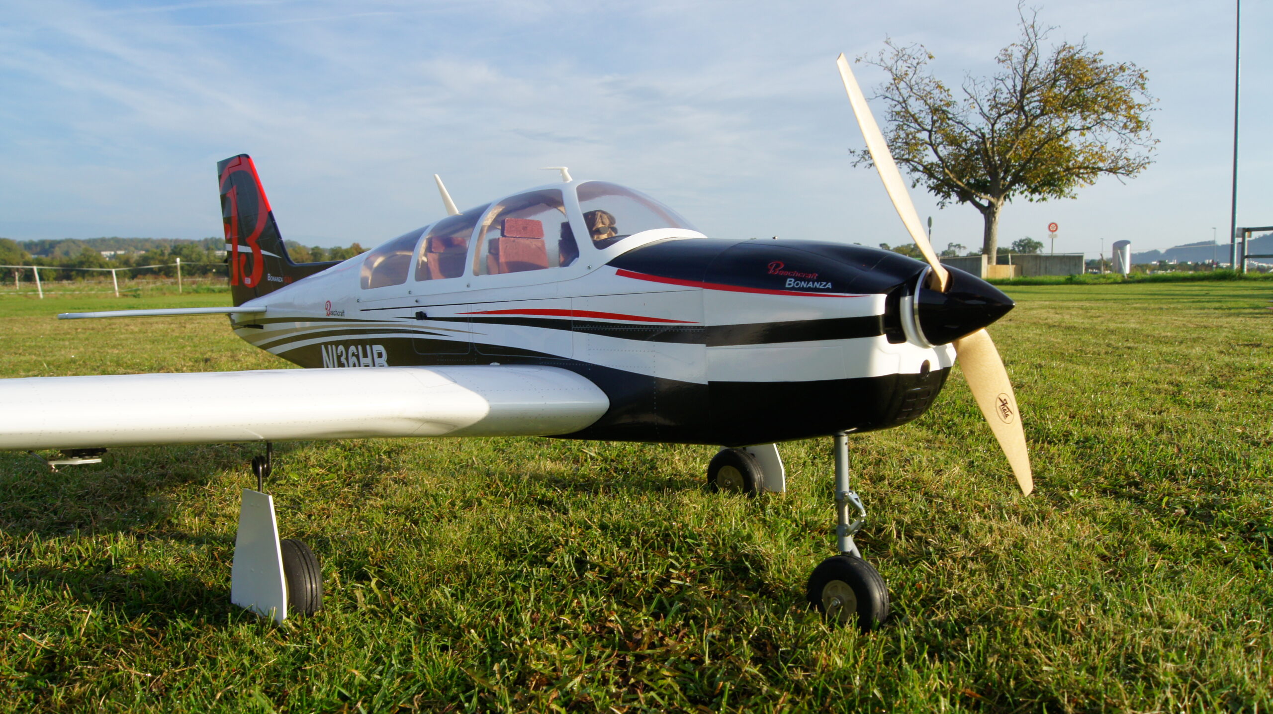 Read more about the article Pichler/VQ Models Beechcraft Bonanza